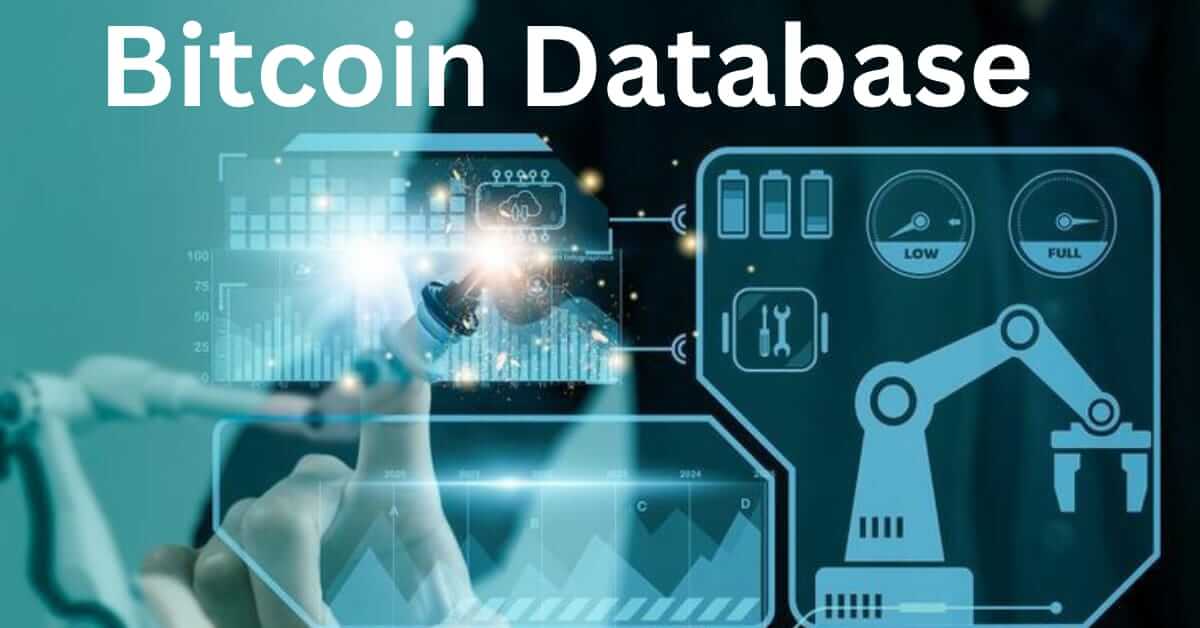 Bitcoin database