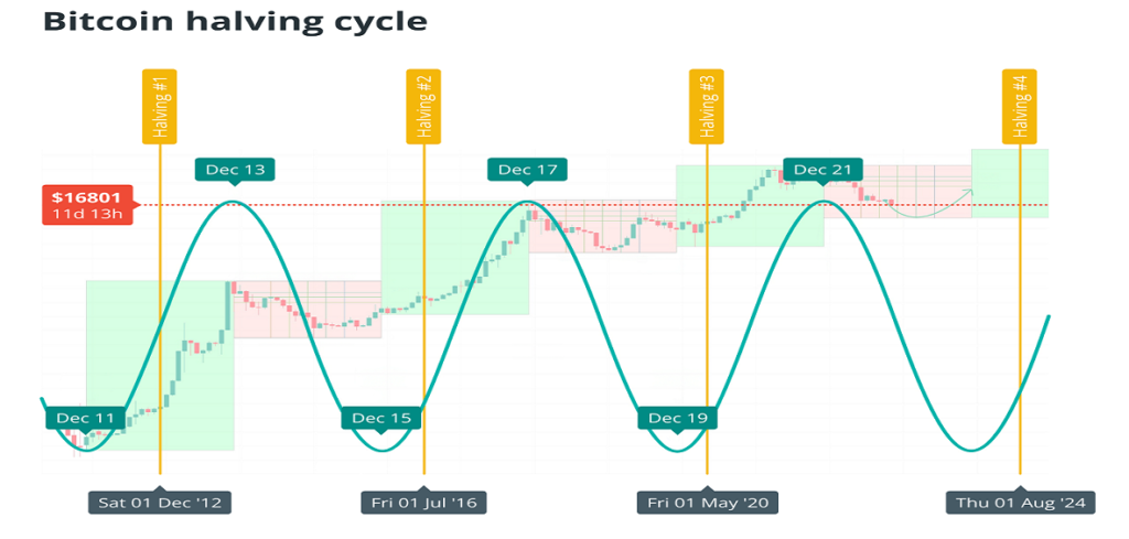 BTC halving cycle